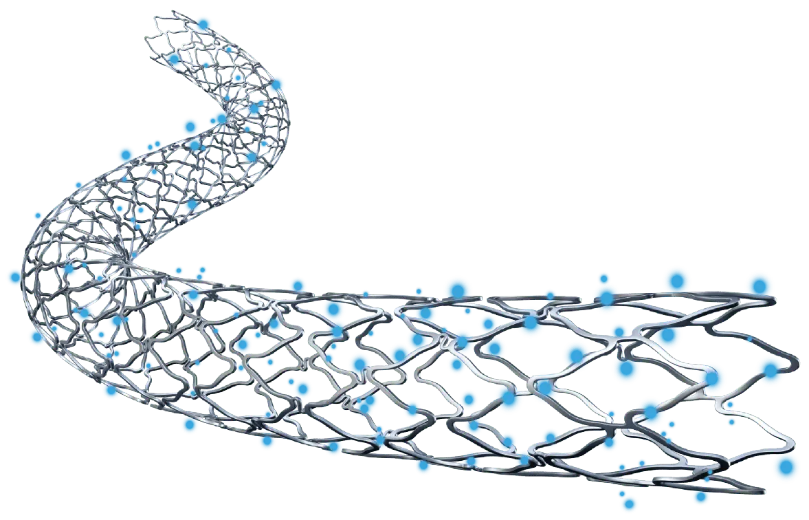 Inspiron Evo - Scitech