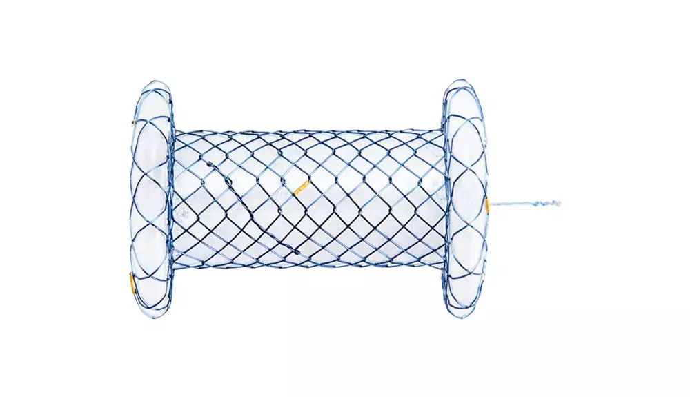 BCF – Total coberto plumber