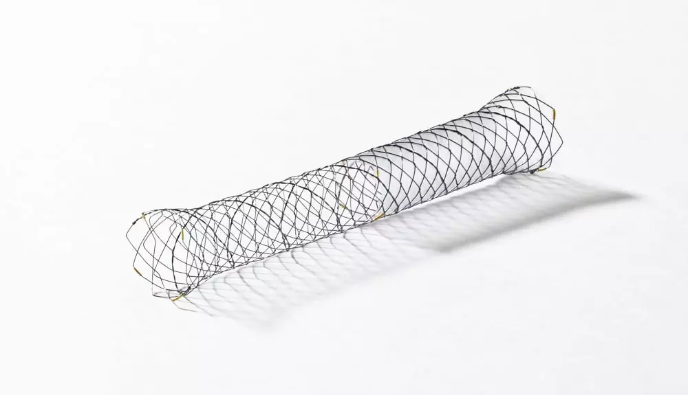 BPN – Parcial coberto - Scitech