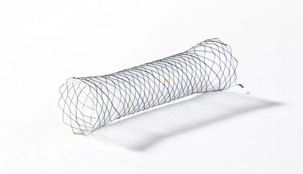 CCBA - Total coberto - Hanaro Stent