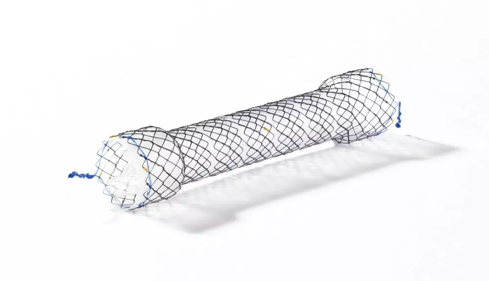 EPF - Parcial coberto com válvula - Hanaro Stent