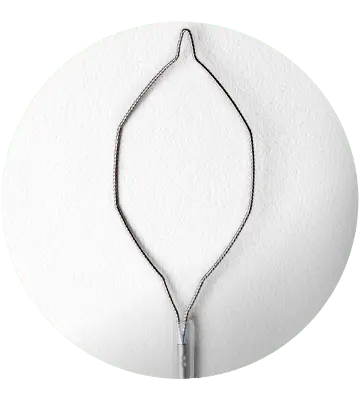 Alça de Polipectomia