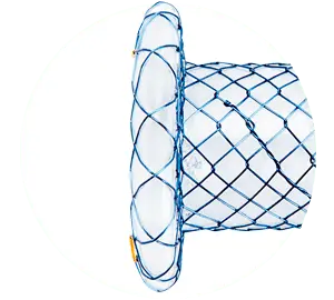 BCF – Total coberto plumber