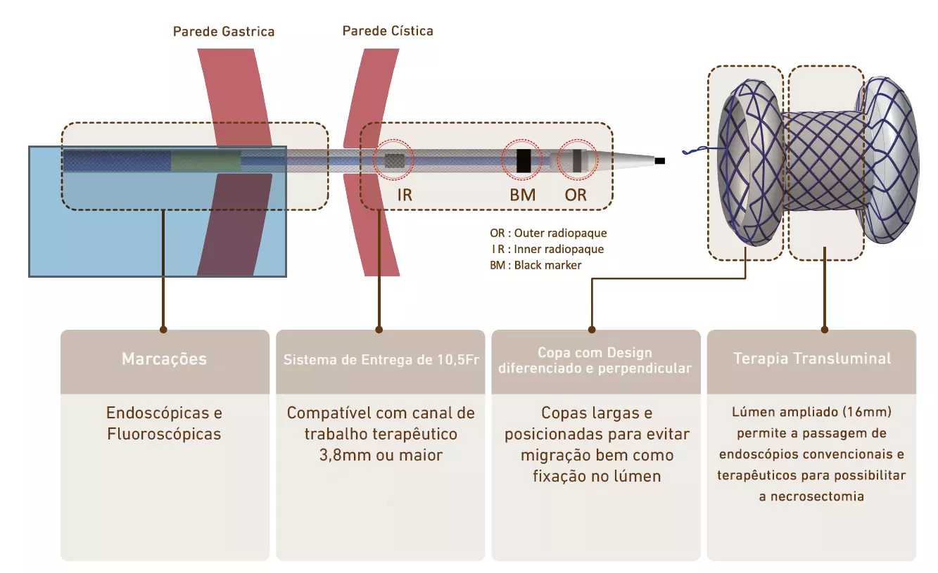 BCF – Total coberto plumber