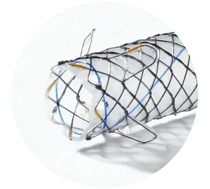 BCT – Total coberto com flaps e laços