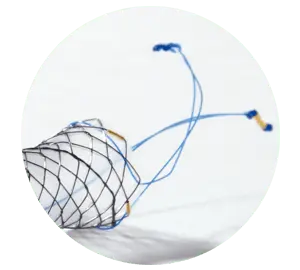 BCT – Total coberto com flaps e laços