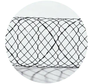 BPN – Parcial coberto - Scitech