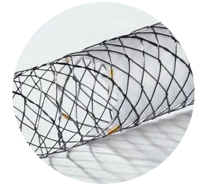 BPN – Parcial coberto - Scitech