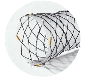 BPN – Parcial coberto - Scitech