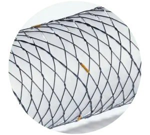 CCBA - Total coberto - Hanaro Stent