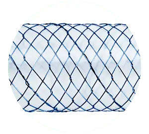 NDCL - Parcial coberto - Hanaro Stent