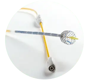 EPE - Parcial coberto - Hanaro Stent